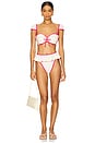 view 4 of 4 Tamarindo Ruffle Bikini Bottom in Cream & Raspberry