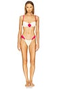 view 4 of 4 Rosa Devin Bikini Top in Cream & Raspberry