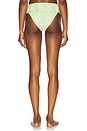 view 3 of 4 Tamarindo Ruffle Bikini Bottom in Avocado Floral Texture