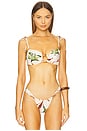 view 1 of 4 Tori Ties Bikini Top in Rooted Floral