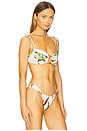 view 2 of 4 Tori Ties Bikini Top in Rooted Floral