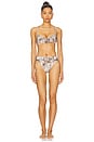 view 4 of 4 Tamarindo Bikini Bottom in Camo