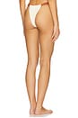 view 3 of 4 Sandra Bikini Bottom in Oat Terracotta