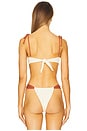 view 4 of 5 Tori Ties Bikini Top in Oat Terracotta