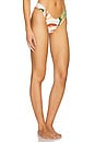 view 2 of 4 Lulu Bikini Bottom in Rooted Floral