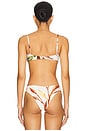 view 3 of 4 Simonette Bikni Top in Rooted Floral