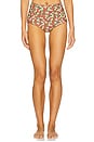 view 1 of 5 Polly Bikini Bottom in Sienna Floral