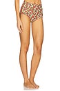 view 2 of 5 Polly Bikini Bottom in Sienna Floral