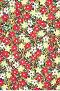 view 5 of 5 Polly Bikini Bottom in Sienna Floral