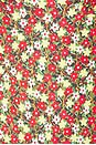 view 4 of 4 Petal One Piece in Sienna Floral
