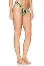 view 2 of 4 Sandra Bikini Bottom in Veronica Floral
