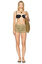 view 4 of 4 Simonette Bikini Top in Sable