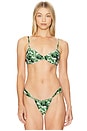 view 1 of 4 Dainty Bikini Top in Veronica Floral