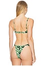 view 3 of 4 Dainty Bikini Top in Veronica Floral