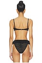 view 3 of 4 TOP BIKINI PETAL in Black Daisy Lace