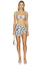 view 5 of 5 TOP BIKINI HAYDEN in Winona Floral