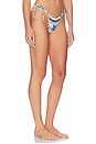 view 2 of 4 Brasil Bikini Bottom in Blue Toile Stripe
