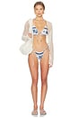 view 4 of 4 Brasil Bikini Bottom in Blue Toile Stripe