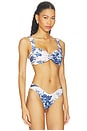 view 2 of 4 TOP BIKINI HAYDEN in Blue Toile Stripe