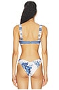 view 3 of 4 TOP BIKINI HAYDEN in Blue Toile Stripe