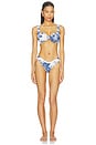 view 4 of 4 TOP BIKINI HAYDEN in Blue Toile Stripe