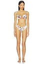 view 4 of 4 BRAGUITA BIKINI LUANA in Bouquet