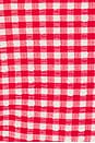 view 5 of 5 НИЗ БИКИНИ LULU in Red Micro Gingham