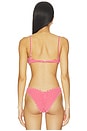 view 3 of 5 Petal Bikini Top in Red Micro Gingham