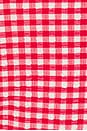 view 5 of 5 Petal Bikini Top in Red Micro Gingham