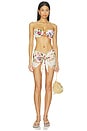 view 5 of 5 HAUT DE MAILLOT DE BAIN TORI in Bouquet