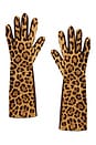 view 1 of 2 Medium Length Leather Gloves in Pony