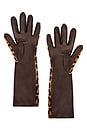 view 2 of 2 Medium Length Leather Gloves in Pony