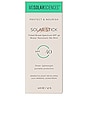 view 3 of 5 Tinted Solar Stick SPF 40 in 