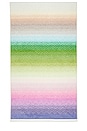 view 1 of 4 Carissa Beach Towel in Multicolor