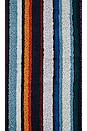 view 3 of 4 Chandler Beach Towel in Blu Multicolor