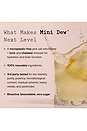 view 4 of 6 Mini Dew Pomelo Stick Pack 18ct in 