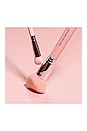 view 4 of 4 KIT DE ESCOVA FACIAL FIT RIGHT FACE BRUSH SET in Multi