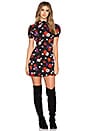 view 4 of 4 Moa Dress in Poppy Seed