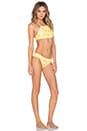 view 2 of 6 Hera Bikini in Lemons