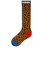 view 4 of 4 High Stepper Socks in Leopard Mother Fucker