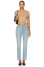 view 5 of 6 The Pixie Dazzler Ankle Jeans in Meet Me At The Metro