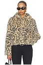 view 1 of 5 BLOUSON HOODED in Spotted Counter Culture