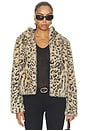view 2 of 5 BLOUSON HOODED in Spotted Counter Culture