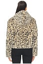 view 5 of 5 BLOUSON HOODED in Spotted Counter Culture