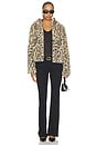 view 6 of 5 BLOUSON HOODED in Spotted Counter Culture