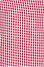 view 4 of 4 Avery Mini Dress in Red Gingham