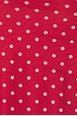 view 5 of 5 ROBE DELIA in Cherry Polka Dot