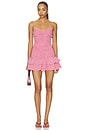 view 1 of 4 Julian Mini Dress in Red Gingham