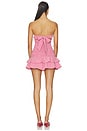 view 3 of 4 Julian Mini Dress in Red Gingham