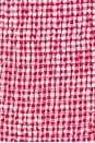 view 4 of 4 Julian Mini Dress in Red Gingham
